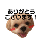 てっちゃんのけいご（個別スタンプ：3）