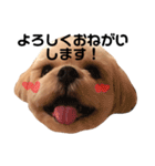 てっちゃんのけいご（個別スタンプ：4）
