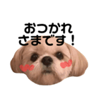 てっちゃんのけいご（個別スタンプ：5）