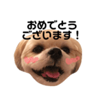 てっちゃんのけいご（個別スタンプ：6）