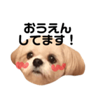 てっちゃんのけいご（個別スタンプ：7）