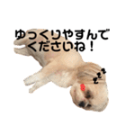 てっちゃんのけいご（個別スタンプ：9）