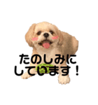 てっちゃんのけいご（個別スタンプ：20）