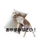 てっちゃんのけいご（個別スタンプ：24）