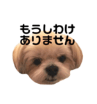 てっちゃんのけいご（個別スタンプ：27）
