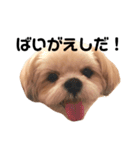 てっちゃんのけいご（個別スタンプ：30）