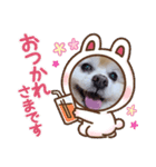ぱぼた1（個別スタンプ：1）