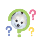 ぱぼた1（個別スタンプ：5）