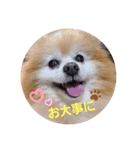 ぱぼた1（個別スタンプ：8）