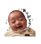 陽大くん (ᵔᴥᵔ)（個別スタンプ：1）