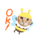 ちゃあちゃん 猫スタンプ3（個別スタンプ：4）