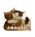 Chacha＆Teatea❤︎（個別スタンプ：6）