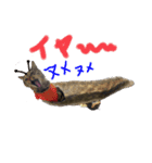 ハナテンスタンプ（個別スタンプ：1）