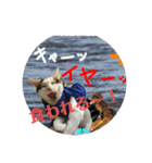 ハナテンスタンプ（個別スタンプ：5）