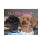 ココメル、時々レオ①（個別スタンプ：3）