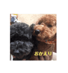 ココメル、時々レオ①（個別スタンプ：6）