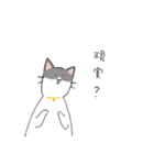 ゆるいハチワレねこ（個別スタンプ：22）