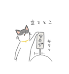 ゆるいハチワレねこ（個別スタンプ：31）