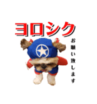 まろんせんぱい アメリカ（個別スタンプ：5）