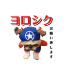 まろんせんぱい 1（個別スタンプ：1）