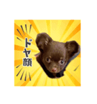 あずまるが宇宙一！！！（個別スタンプ：2）