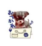 あずまるが宇宙一！！！（個別スタンプ：3）