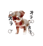 あずまるが宇宙一！！！（個別スタンプ：5）