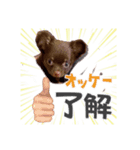 あずまるが宇宙一！！！（個別スタンプ：6）