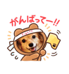 チワックス♡LOVE わん（個別スタンプ：6）