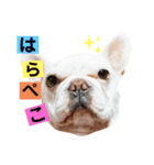 あきちゃんのいちね（個別スタンプ：7）