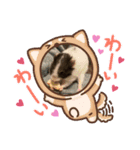 わたしとハムスター（個別スタンプ：1）