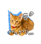 今日もおキャット様の下僕です。（個別スタンプ：23）