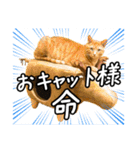 今日もおキャット様の下僕です。（個別スタンプ：27）