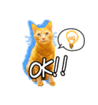 今日もおキャット様の下僕です。（個別スタンプ：28）