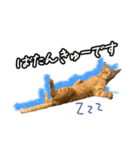 今日もおキャット様の下僕です。（個別スタンプ：29）