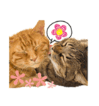 今日もおキャット様の下僕です。（個別スタンプ：32）