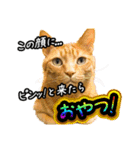 今日もおキャット様の下僕です。（個別スタンプ：40）