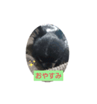 ねむねむにゃん（個別スタンプ：3）