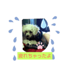 ねむねむにゃん（個別スタンプ：6）