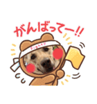 ワンコなひまわりチャン♡（個別スタンプ：6）