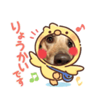 ワンコなひまわりチャン♡（個別スタンプ：10）