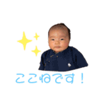 ko！ko！san！（個別スタンプ：12）
