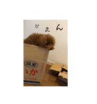 とみーのスタンプだよ ✌️（個別スタンプ：10）