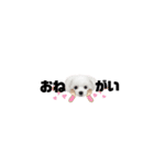 ♡可愛い子犬姉妹の小さめスタンプ♡（個別スタンプ：10）