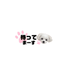 ♡可愛い子犬姉妹の小さめスタンプ♡（個別スタンプ：20）