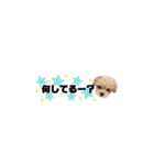 ♡可愛い子犬姉妹の小さめスタンプ♡（個別スタンプ：28）
