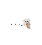 ♡可愛い子犬姉妹の小さめスタンプ♡（個別スタンプ：35）