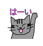 元気な猫詰め合わせ（個別スタンプ：28）