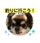 トラ（犬）の釣りスタンプ（個別スタンプ：2）