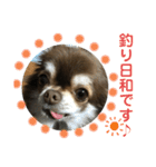 トラ（犬）の釣りスタンプ（個別スタンプ：6）